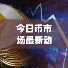 今日币市场最新动态速递