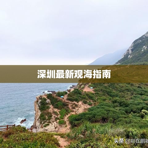深圳最新观海指南