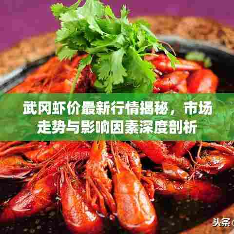 武冈虾价最新行情揭秘,市场走势与影响因素深度剖析