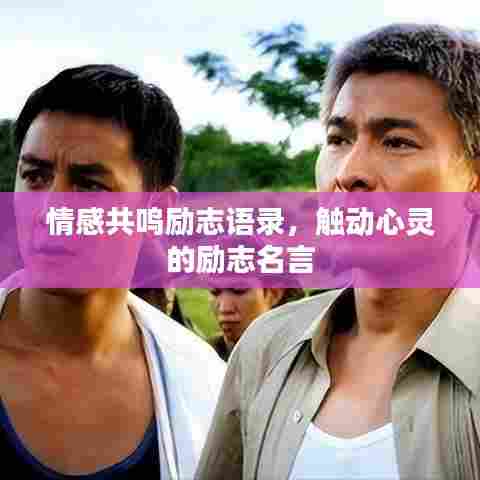 情感共鸣励志语录，触动心灵的励志名言