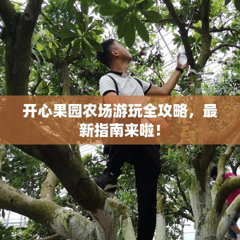开心果园农场游玩全攻略,最新指南来啦!