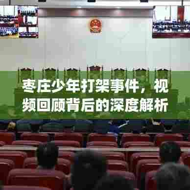 枣庄少年打架事件,视频回顾背后的深度解析