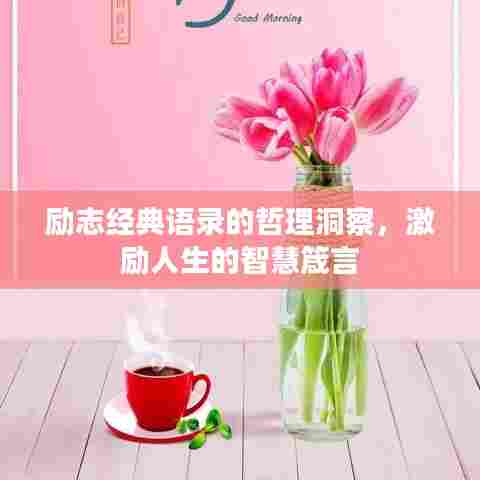 励志经典语录的哲理洞察,激励人生的智慧箴言