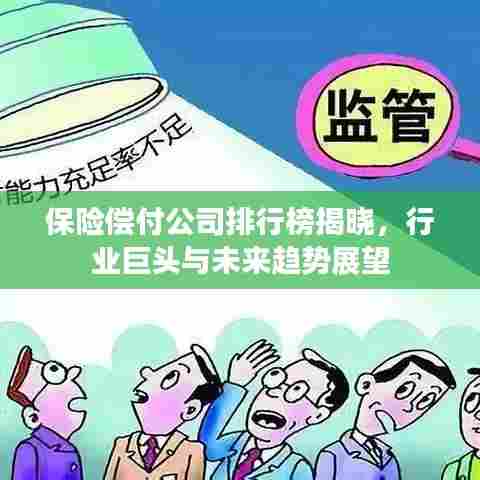 保险偿付公司排行榜揭晓,行业巨头与未来趋势展望