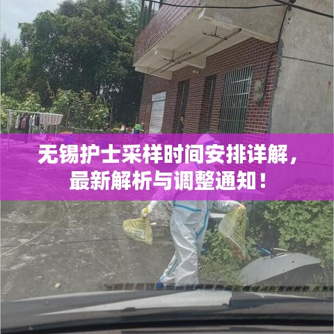 无锡护士采样时间安排详解，最新解析与调整通知！