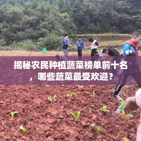揭秘农民种植蔬菜榜单前十名,哪些蔬菜最受欢迎?
