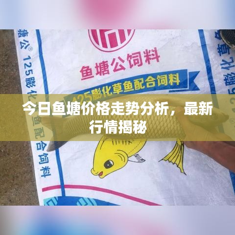 今日鱼塘价格走势分析，最新行情揭秘