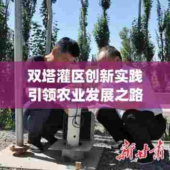 双塔灌区创新实践引领农业发展之路