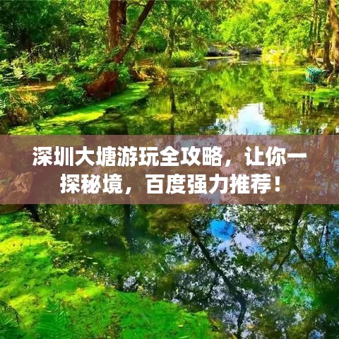 深圳大塘游玩全攻略，让你一探秘境，百度强力推荐！
