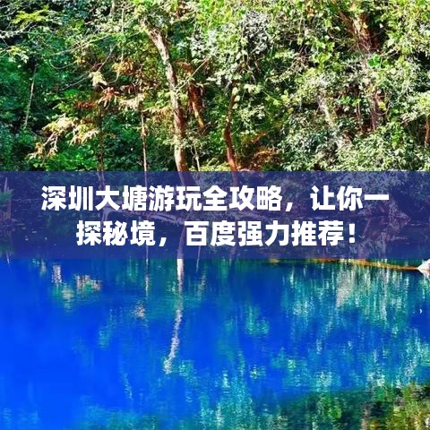 深圳大塘游玩全攻略,让你一探秘境,百度强力推荐!