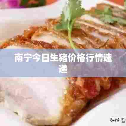 南宁今日生猪价格行情速递
