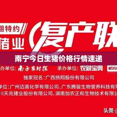 南宁今日生猪价格行情速递