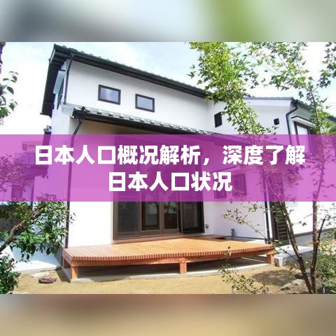 日本人口概况解析,深度了解日本人口状况