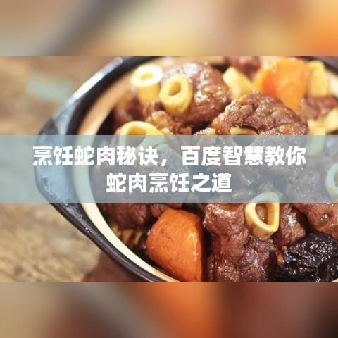 烹饪蛇肉秘诀,百度智慧教你蛇肉烹饪之道