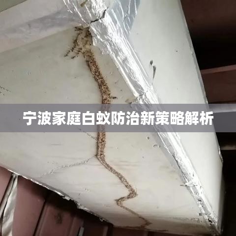 宁波家庭白蚁防治新策略解析