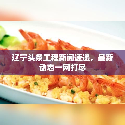 辽宁头条工程新闻速递,最新动态一网打尽