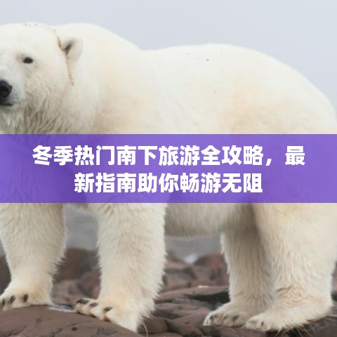 冬季热门南下旅游全攻略，最新指南助你畅游无阻