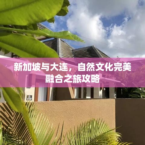 新加坡与大连,自然文化完美融合之旅攻略