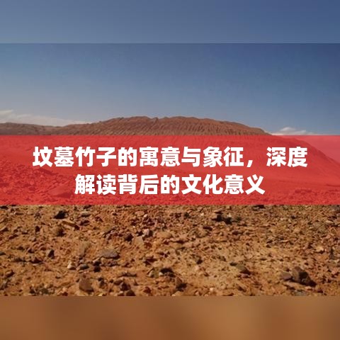 坟墓竹子的寓意与象征,深度解读背后的文化意义