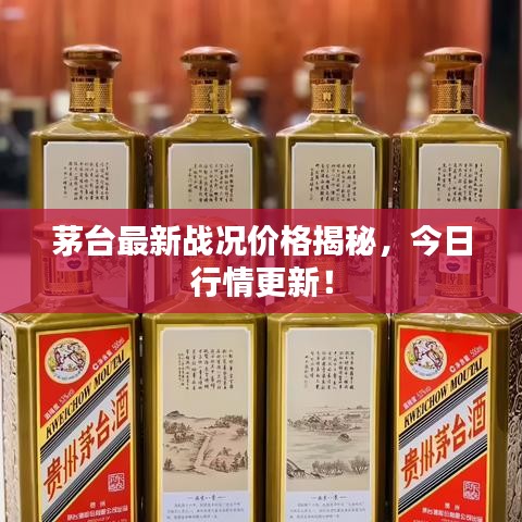 茅台最新战况价格揭秘,今日行情更新!
