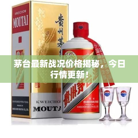 茅台最新战况价格揭秘,今日行情更新!