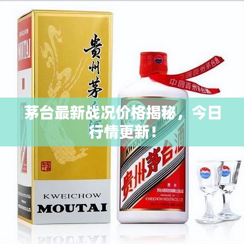 茅台最新战况价格揭秘,今日行情更新!