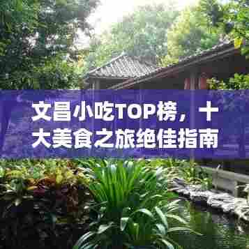 文昌小吃TOP榜,十大美食之旅绝佳指南!