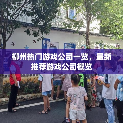 柳州热门游戏公司一览,最新推荐游戏公司概览