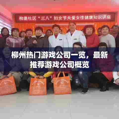 柳州热门游戏公司一览,最新推荐游戏公司概览