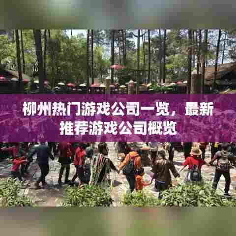 柳州热门游戏公司一览,最新推荐游戏公司概览