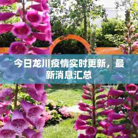 今日龙川疫情实时更新,最新消息汇总