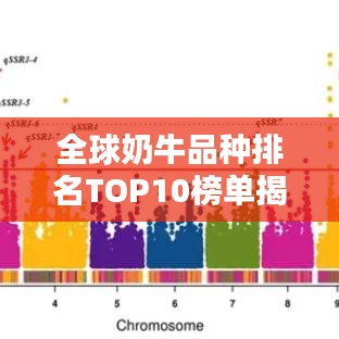 全球奶牛品种排名TOP10榜单揭晓