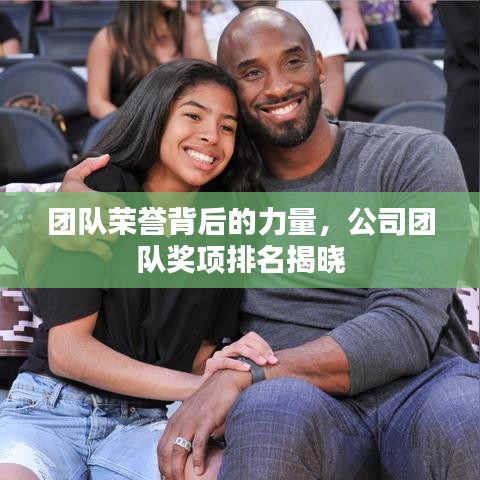 团队荣誉背后的力量,公司团队奖项排名揭晓