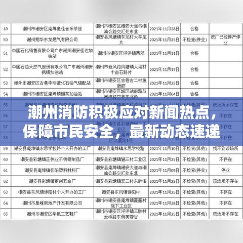 明目张胆 第4页