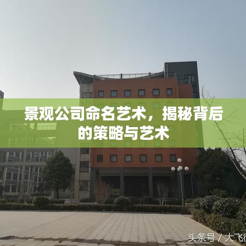 景观公司命名艺术,揭秘背后的策略与艺术