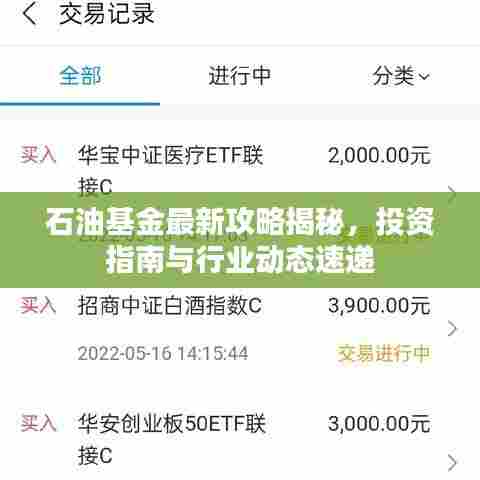 石油基金最新攻略揭秘，投资指南与行业动态速递