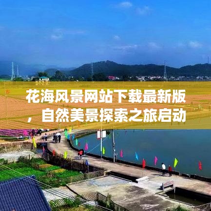 花海风景网站下载最新版,自然美景探索之旅启动!