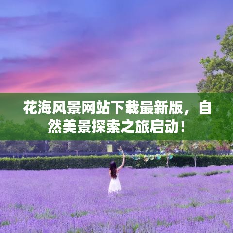 花海风景网站下载最新版,自然美景探索之旅启动!