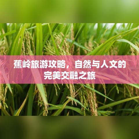 蕉岭旅游攻略,自然与人文的完美交融之旅