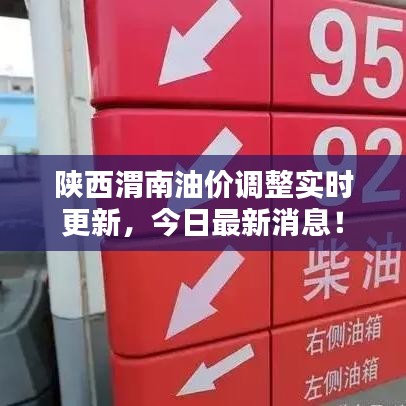 陕西渭南油价调整实时更新,今日最新消息!