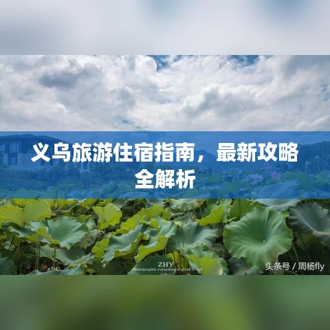 义乌旅游住宿指南,最新攻略全解析