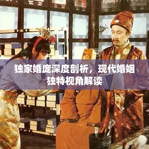 独家婚庞深度剖析,现代婚姻独特视角解读