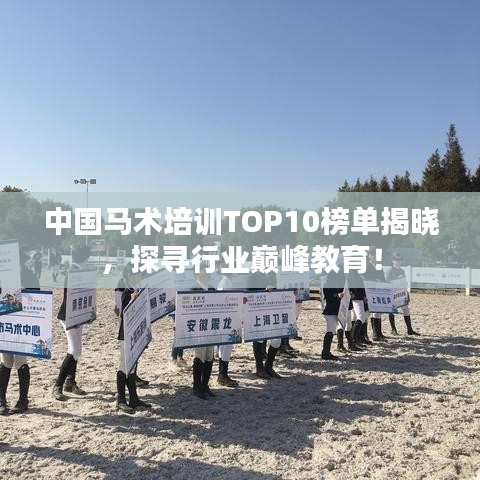 中国马术培训TOP10榜单揭晓,探寻行业巅峰教育!