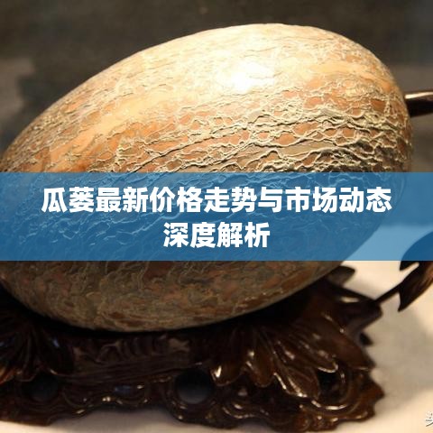 瓜蒌最新价格走势与市场动态深度解析