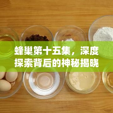 蜂巢第十五集,深度探索背后的神秘揭晓之旅