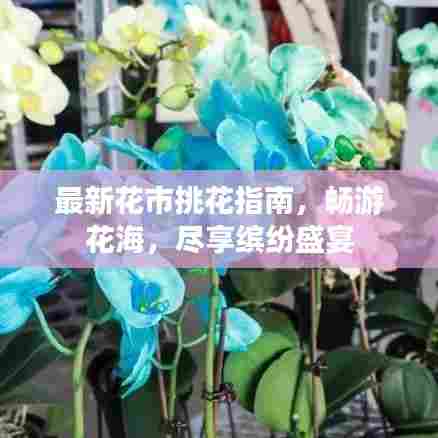 最新花市挑花指南,畅游花海,尽享缤纷盛宴