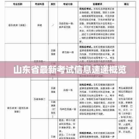 山东省最新考试信息速递概览