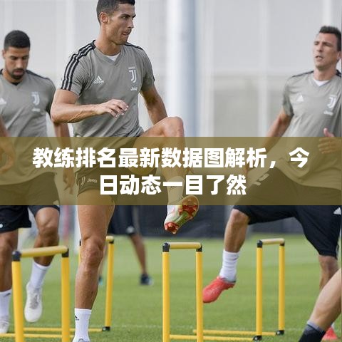教练排名最新数据图解析，今日动态一目了然