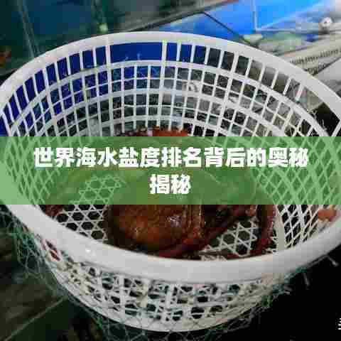 世界海水盐度排名背后的奥秘揭秘