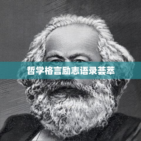 哲学格言励志语录荟萃